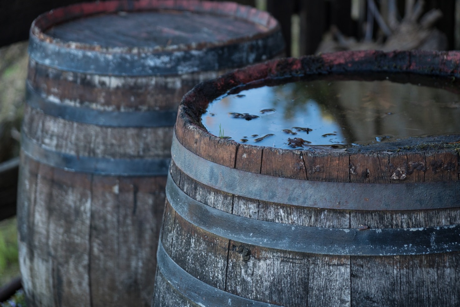How Scotland Leads in Vegan Whisky Production